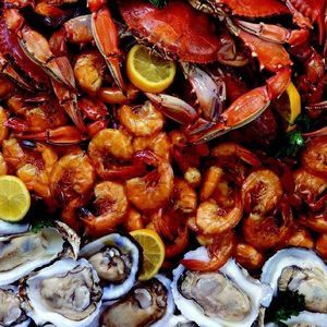 Meet your Posher, Winston